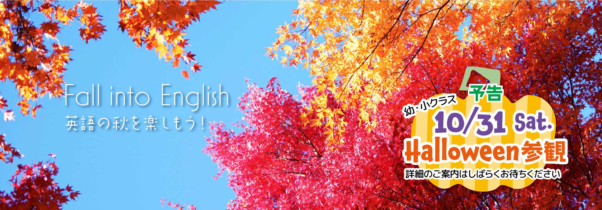 世界に翔け!本気の英語はECCつくばみなみ教室